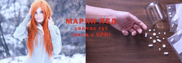 мяу мяу мука Покачи