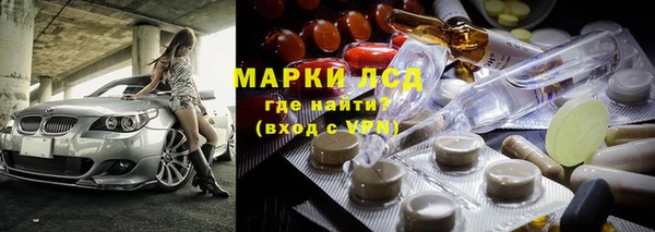 мяу мяу мука Покачи