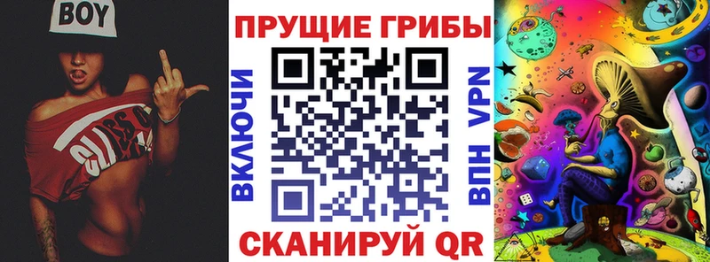 Галлюциногенные грибы мицелий нарко площадка наркотические препараты Дальнереченск что такое